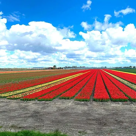 Het Zonneschijnhuis *
