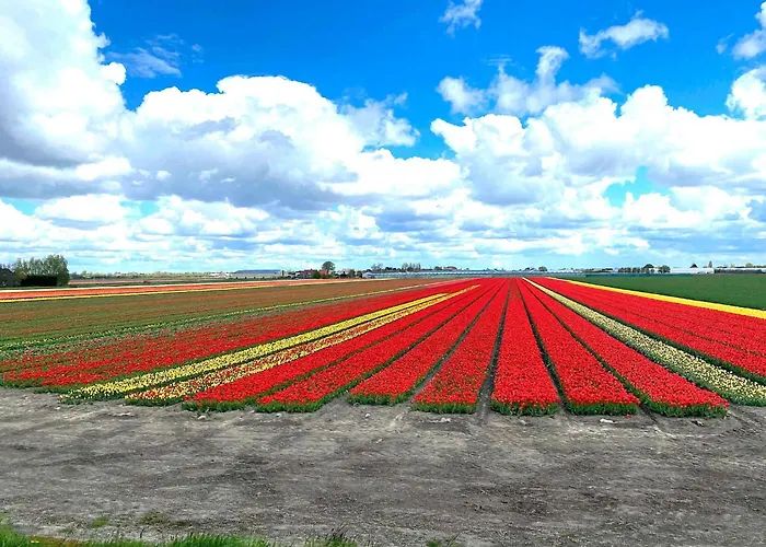 Het Zonneschijnhuis Dirkshorn